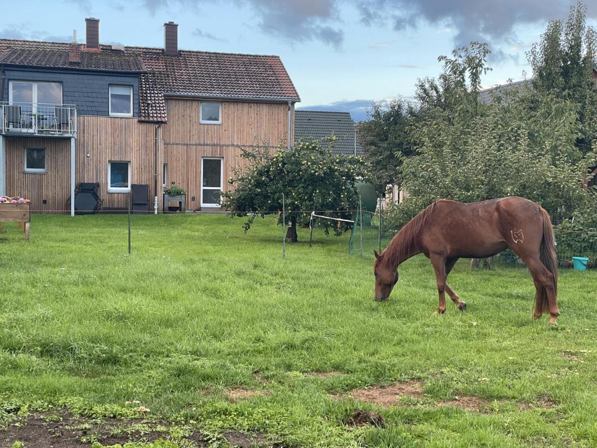 Urlaub Auf Dem Land Leilighet Triepkendorf Eksteriør bilde