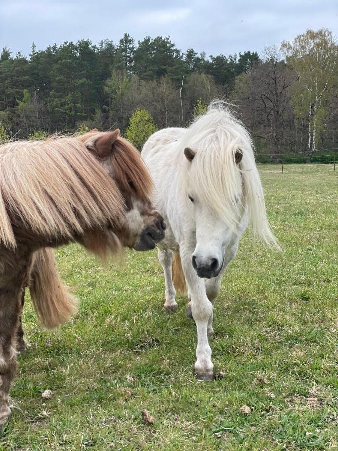Urlaub Auf Dem Land Leilighet Triepkendorf Eksteriør bilde